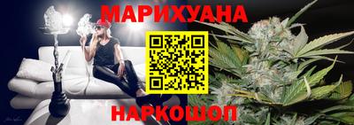 трава Кингисепп